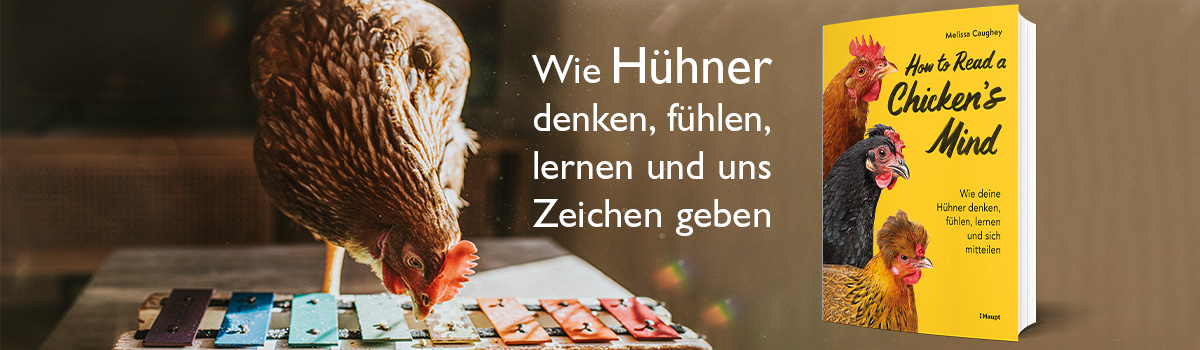 9783258084503_buehnenbild 9783258084503_buehnenbild.jpg