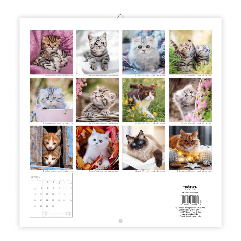 9783988024077_innenansicht_04 9783988024077_innenansicht_04.jpg