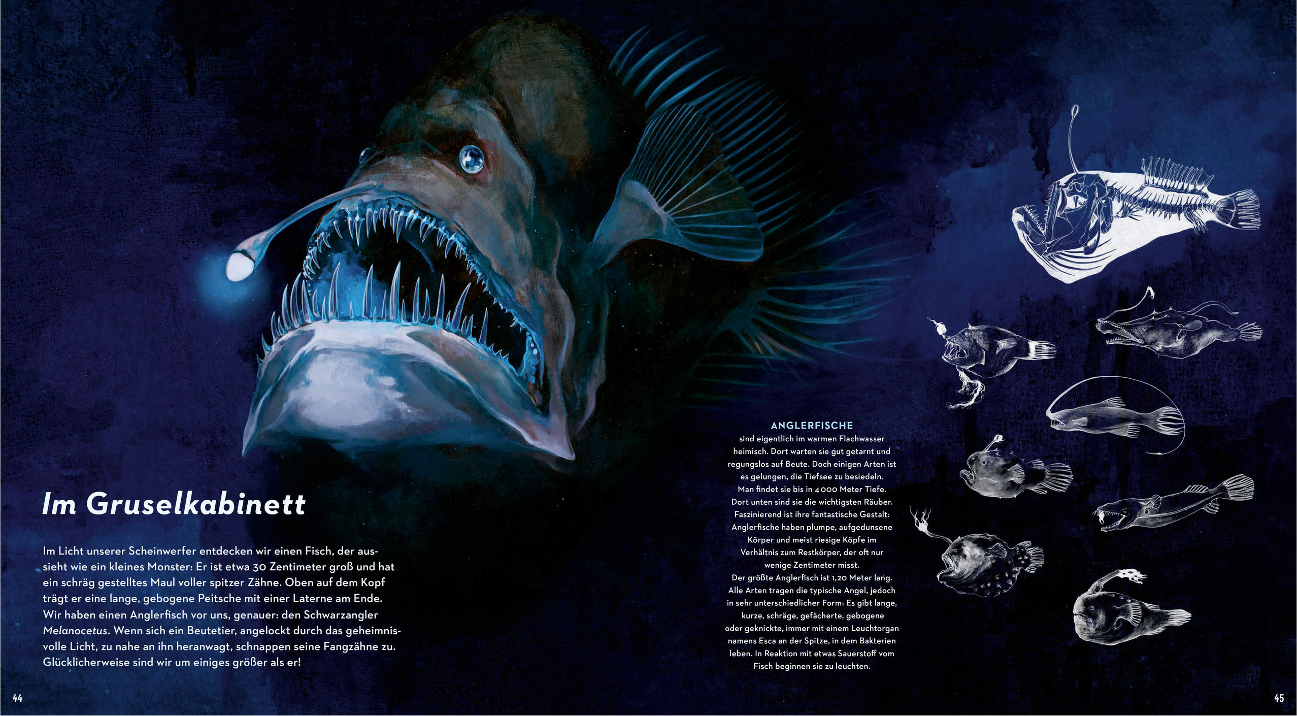 9783791373898_innenansicht_05 9783791373898_innenansicht_05.jpg