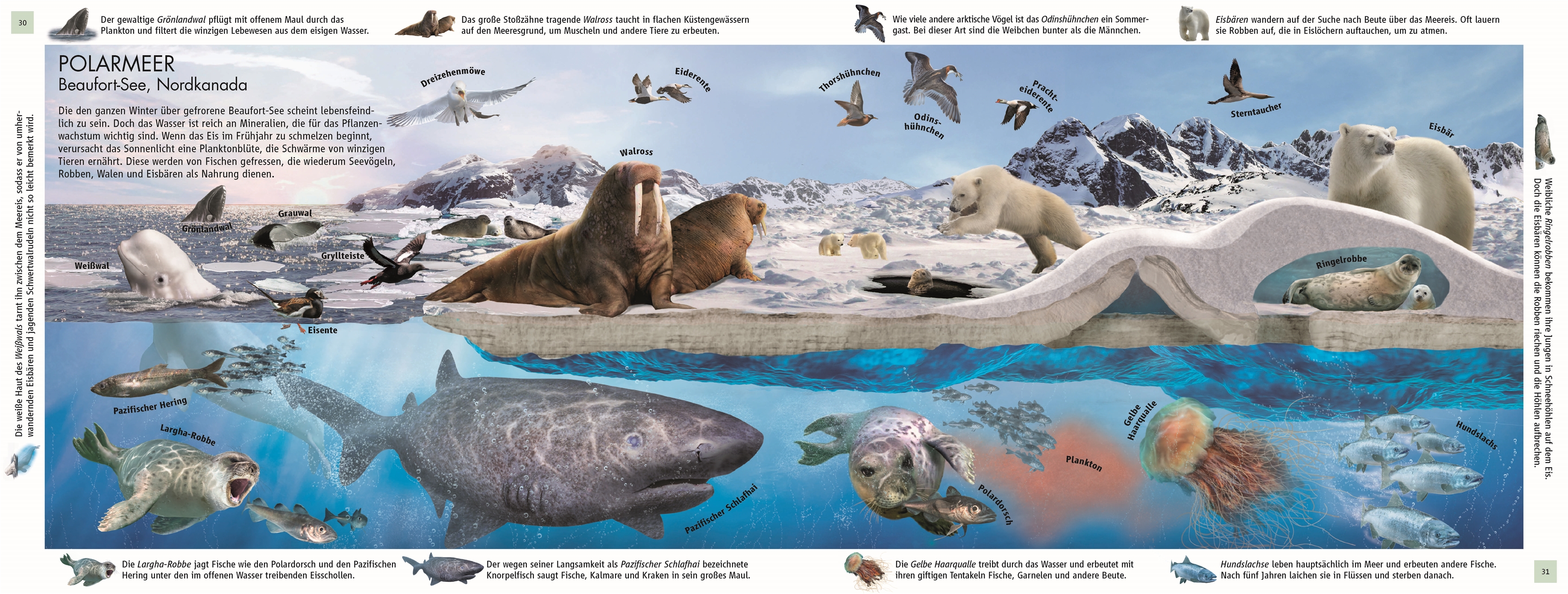 9783831047642_innenansicht_06 9783831047642_innenansicht_06.jpg