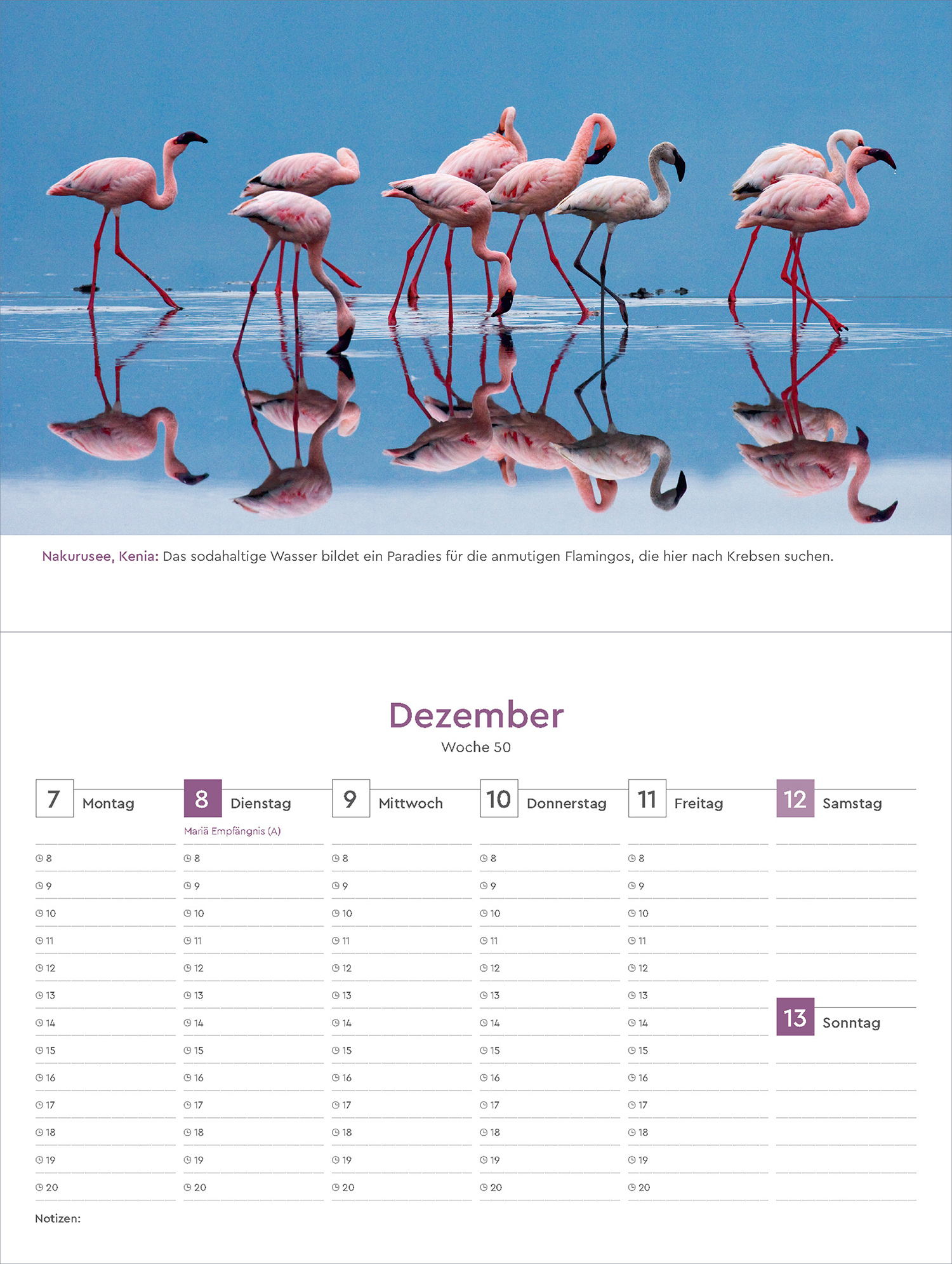 9783965914513_innenansicht_04 9783965914513_innenansicht_04.jpg