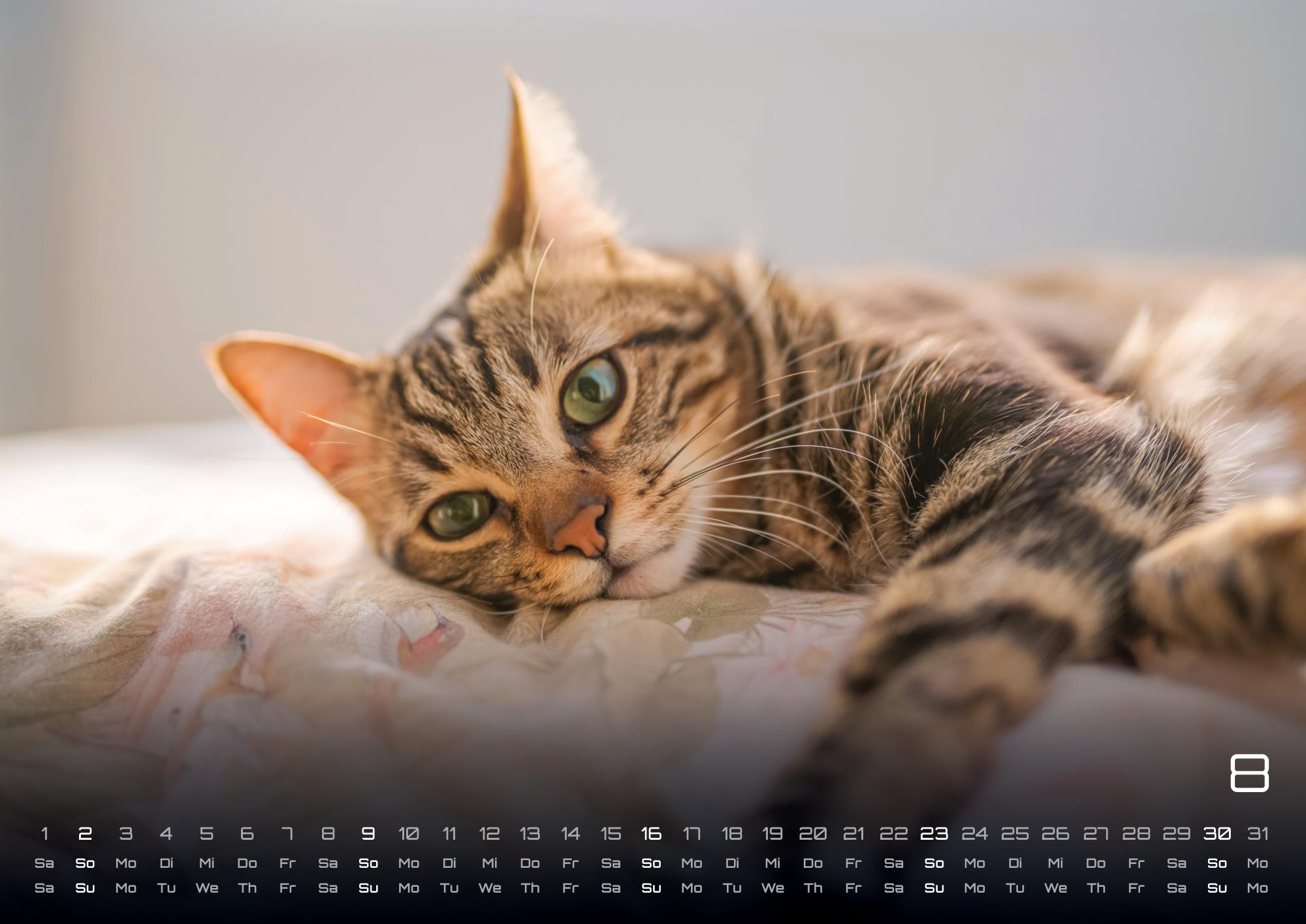 9783986735463_innenansicht_08 9783986735463_innenansicht_08.jpg