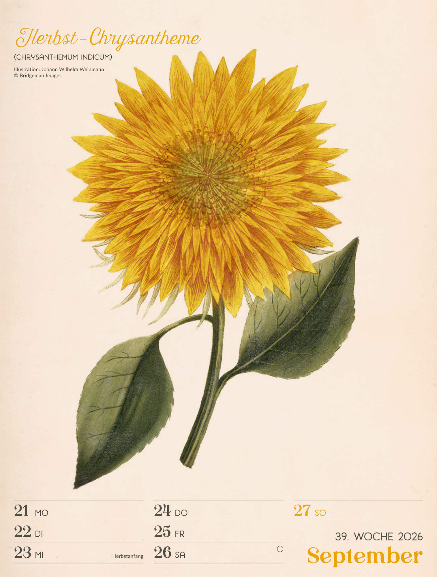 9783838436128_innenansicht_42 9783838436128_innenansicht_42.jpg