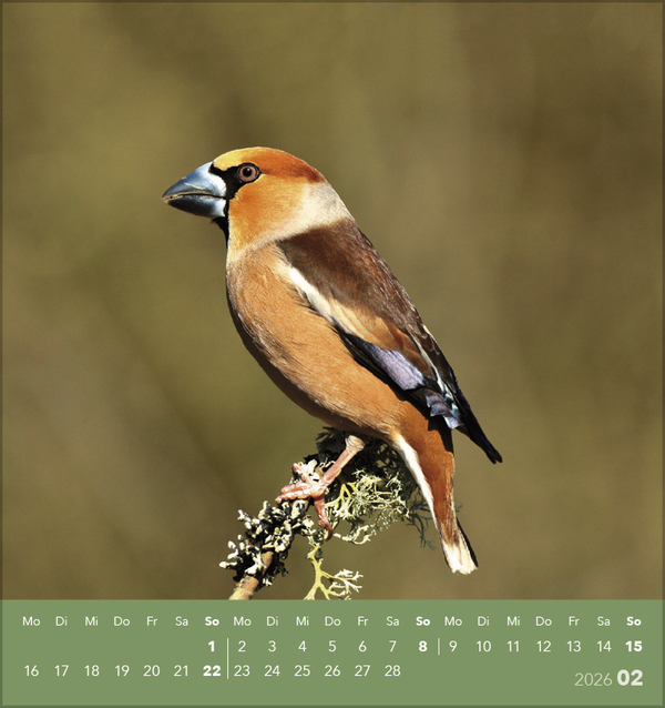 9783731890225_innenansicht_02 9783731890225_innenansicht_02.jpg