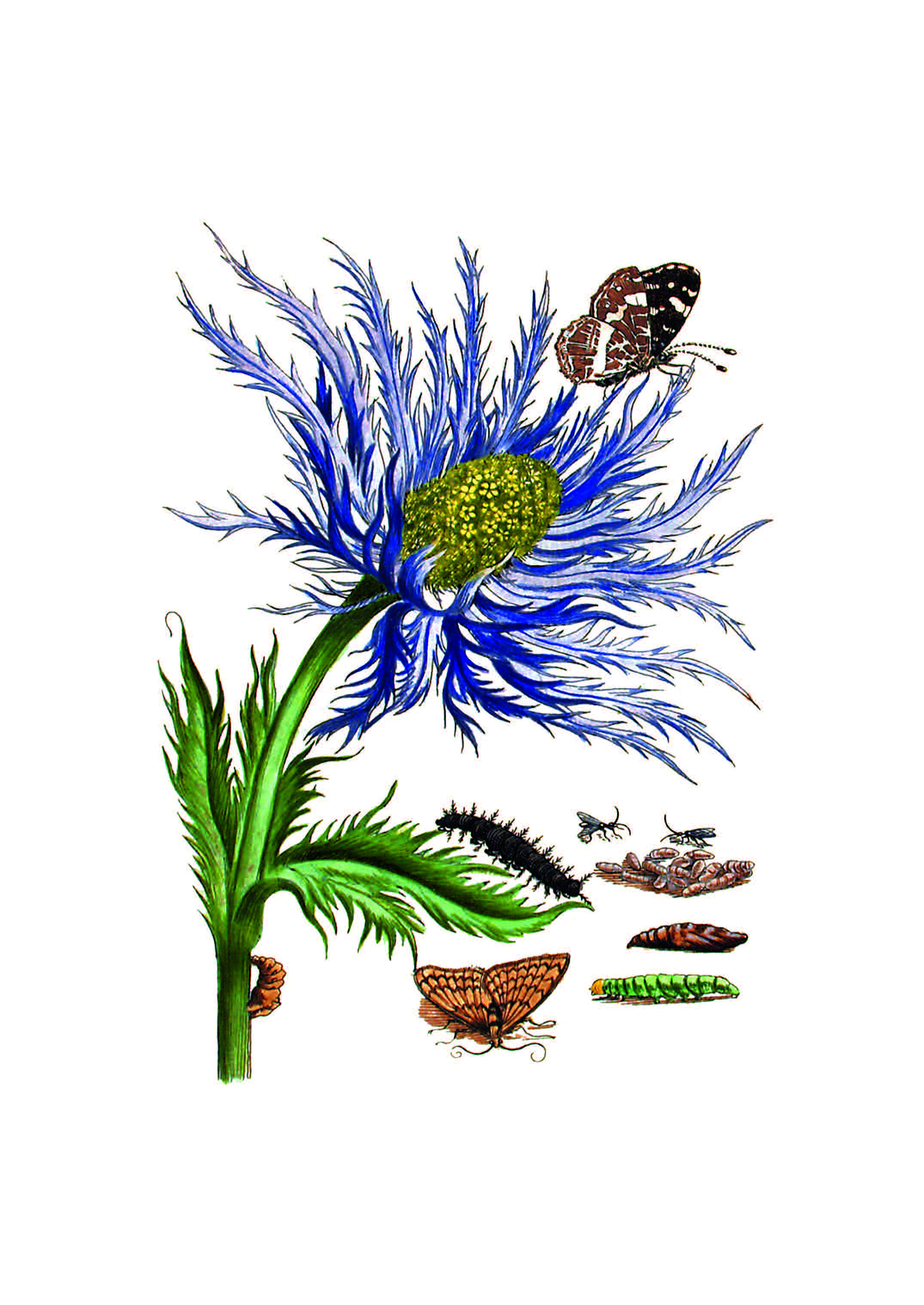 9783968492049_innenansicht_03 9783968492049_innenansicht_03.jpg