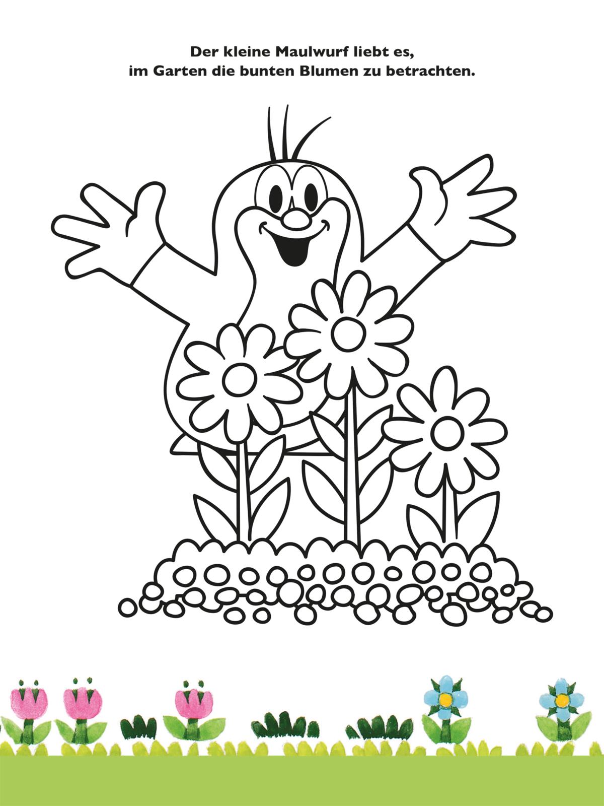 9783845129259_innenansicht_04.jpg