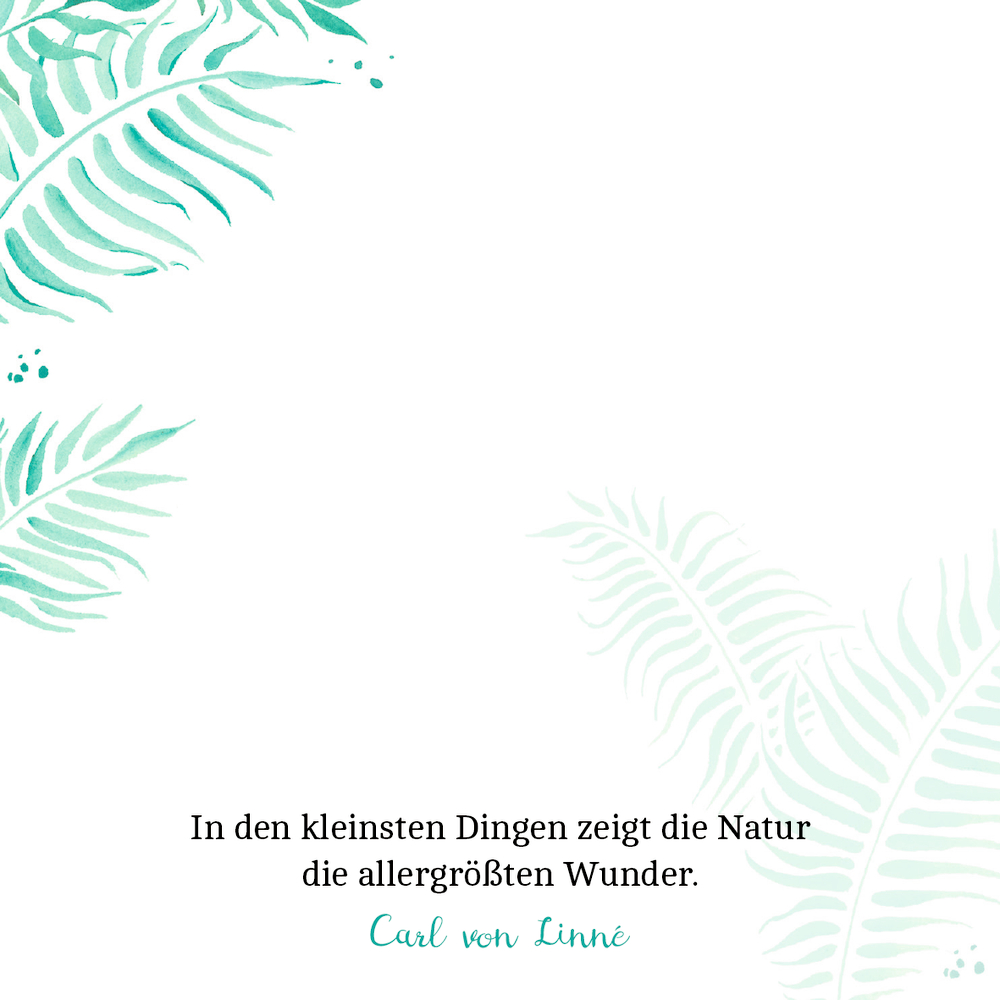 4050003952161_innenansicht_02.jpg