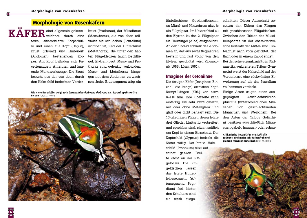 9783866595224_innenansicht_01 9783866595224_innenansicht_01.jpg