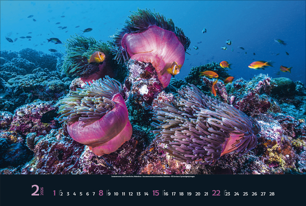 9783731888161_innenansicht_02 9783731888161_innenansicht_02.jpg