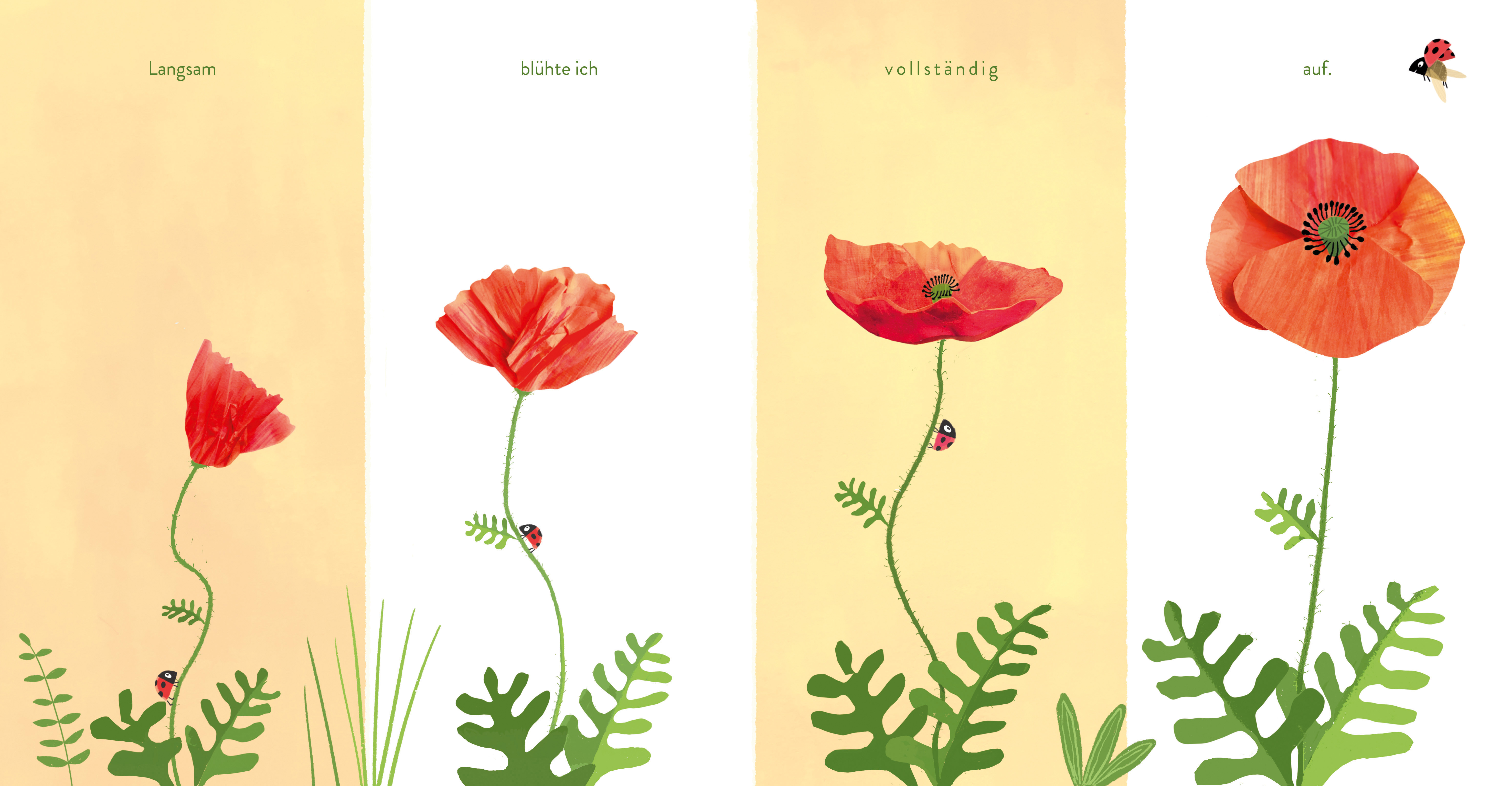 9783219119121_innenansicht_01 9783219119121_innenansicht_01.jpg