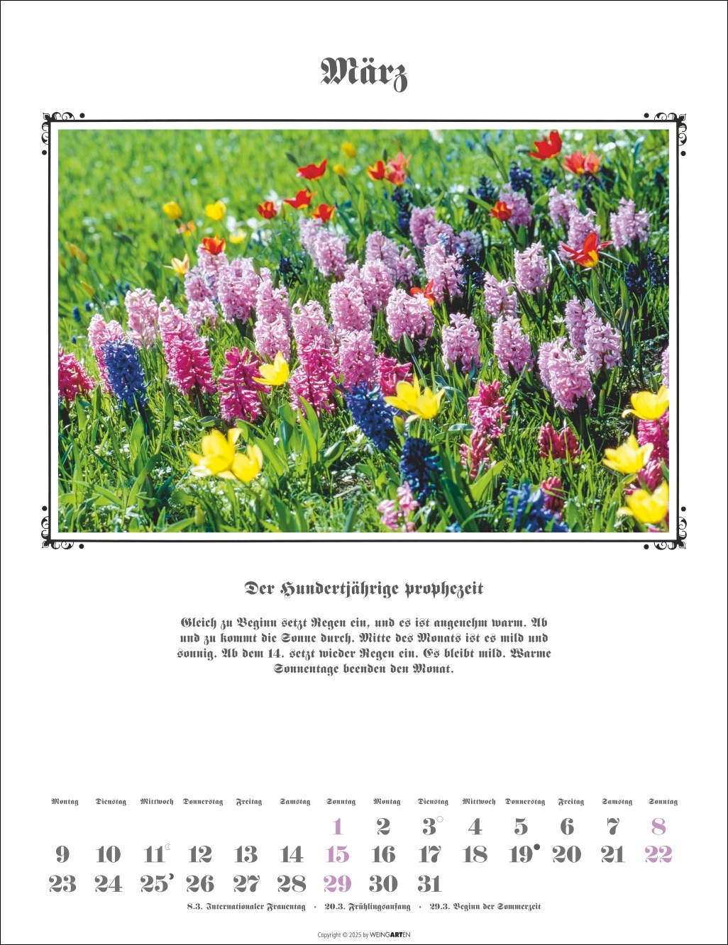 9783839902097_innenansicht_03.jpg