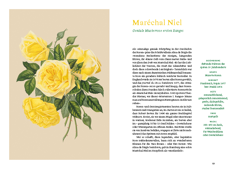 9783832169268_innenansicht_08 9783832169268_innenansicht_08.jpg