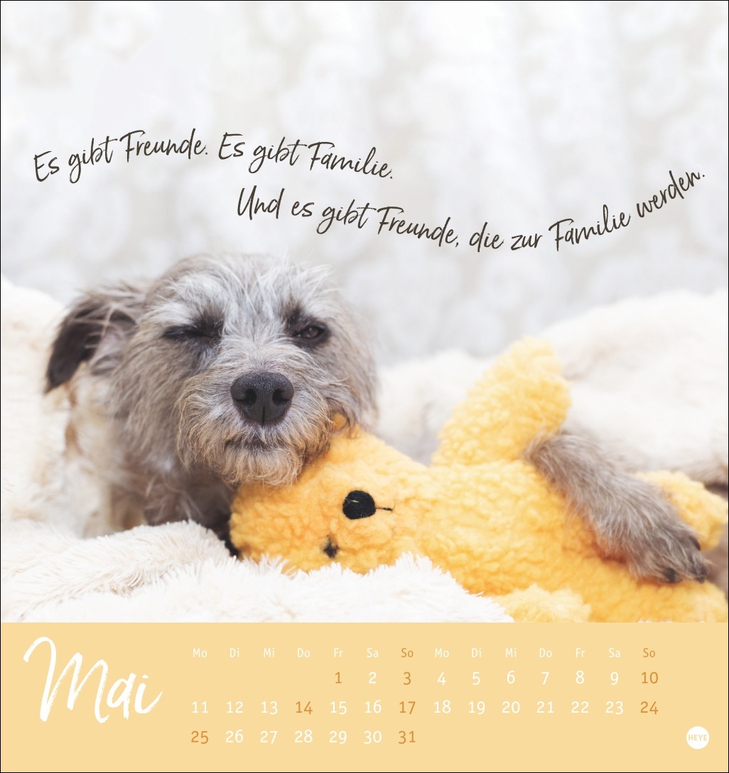 9783756411566_innenansicht_05.jpg