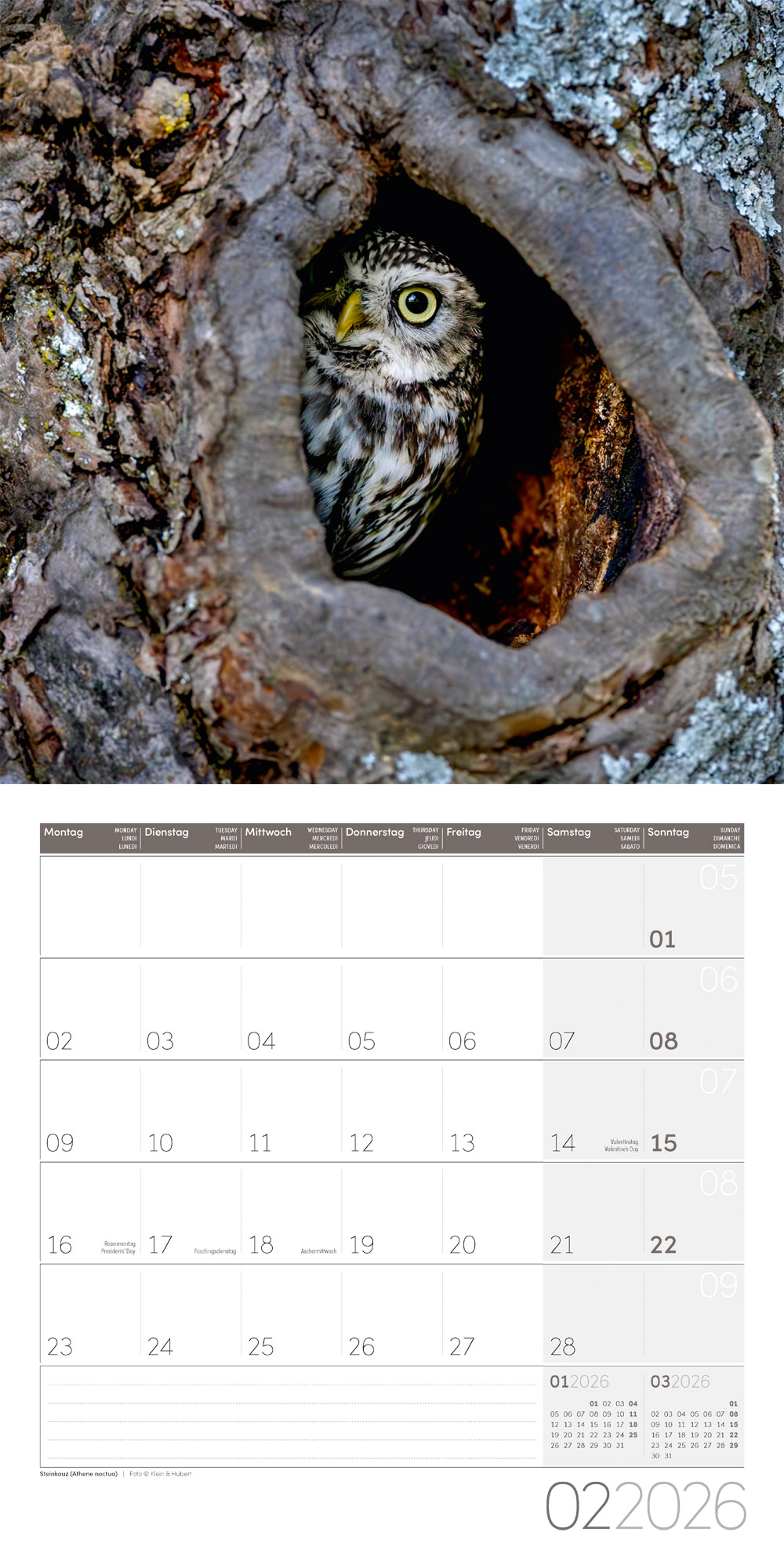 9783838446240_innenansicht_02 9783838446240_innenansicht_02.jpg