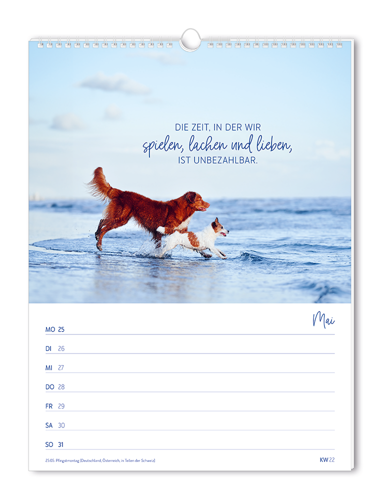 9783986361846_innenansicht_06.png