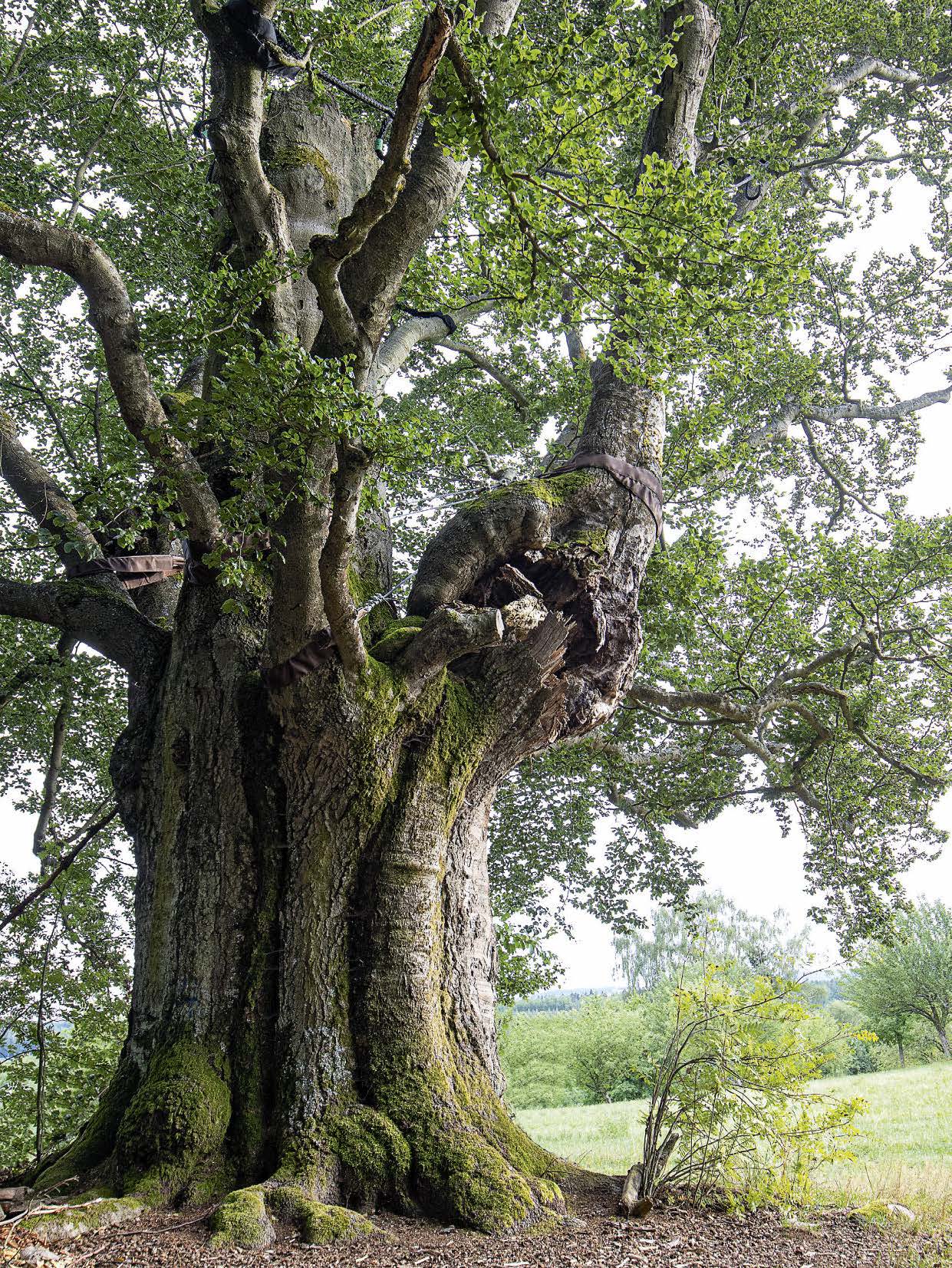 9783955870942_innenansicht_03 9783955870942_innenansicht_03.jpg