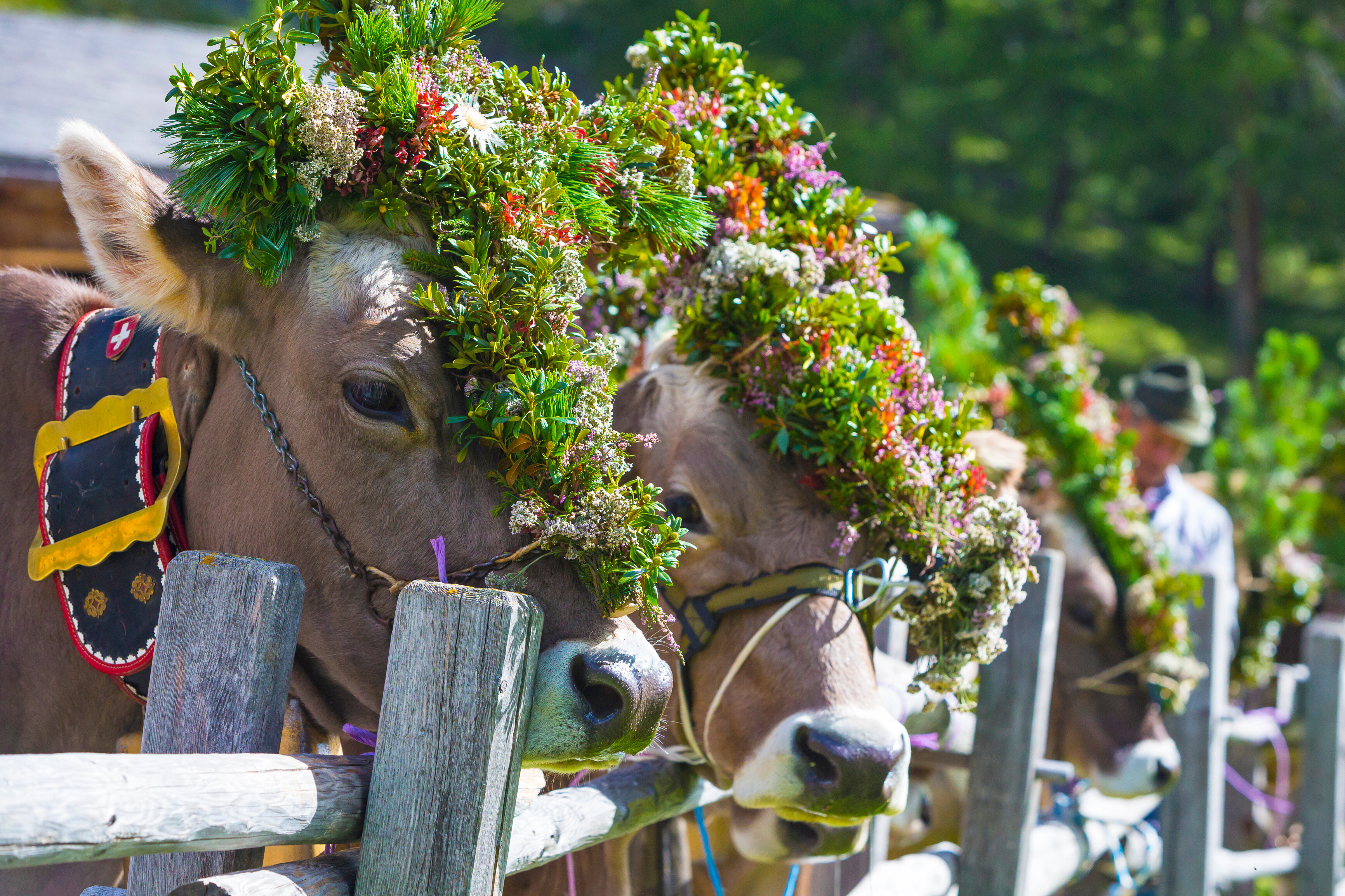 9783710403750_innenansicht_01 9783710403750_innenansicht_01.jpg