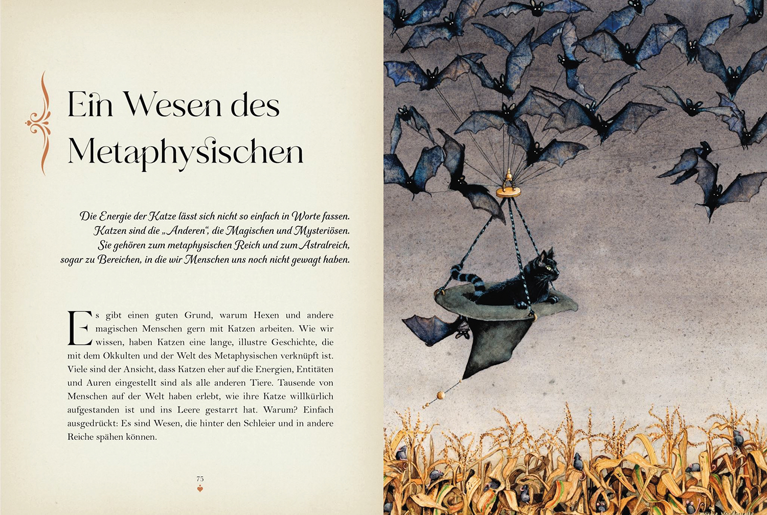 9789463597289_innenansicht_03.jpg