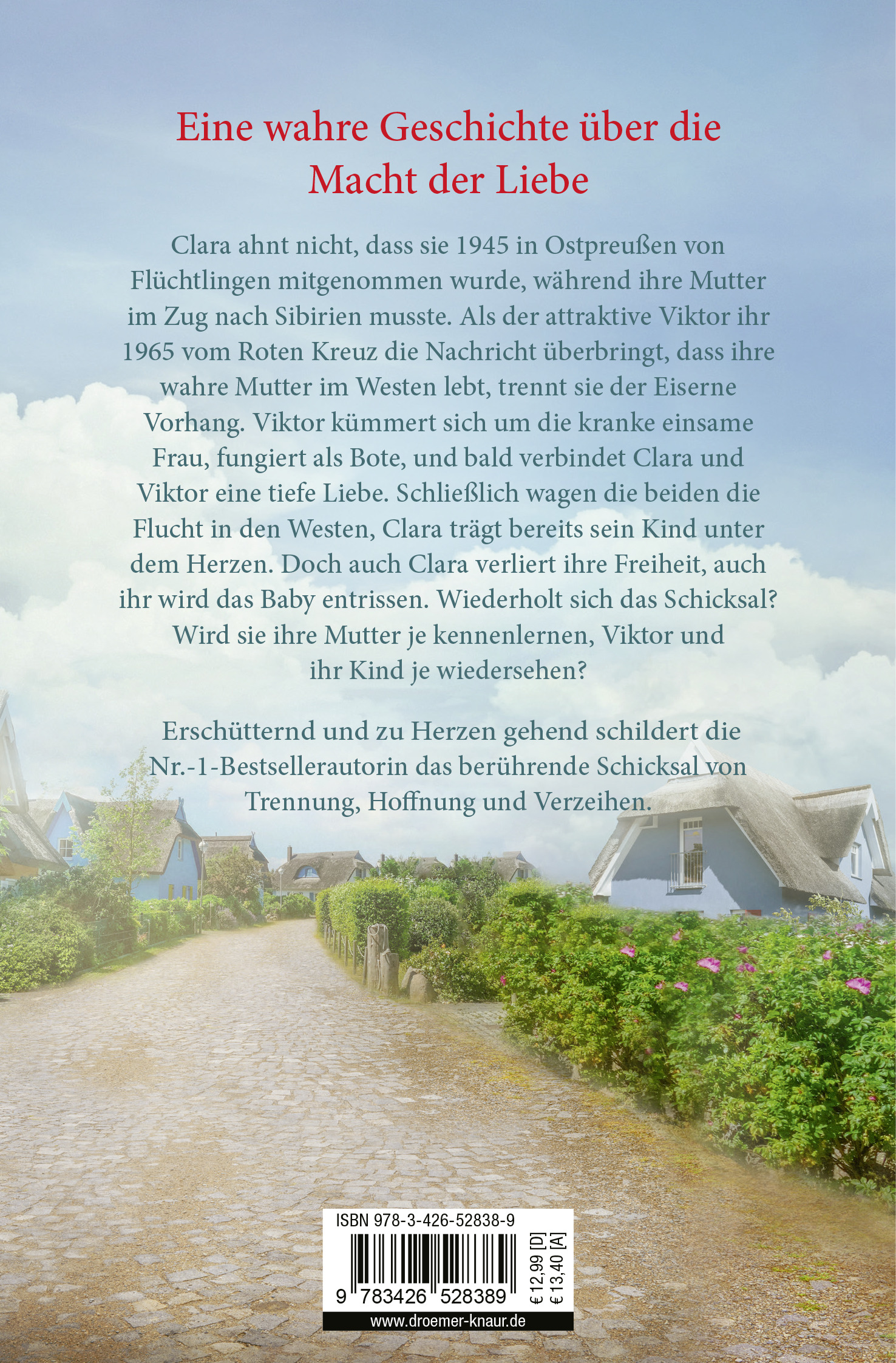 9783426528389_BC 9783426528389_BC.jpg