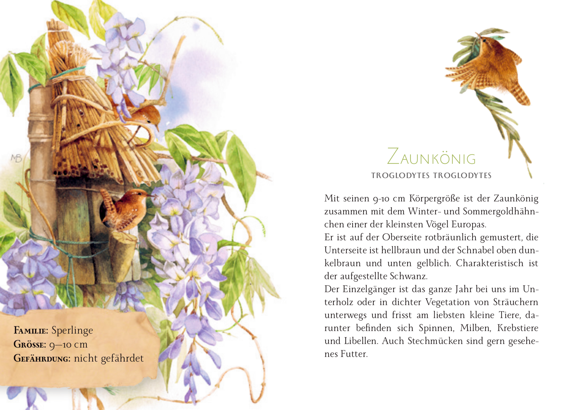 9783649646976_innenansicht_02 9783649646976_innenansicht_02.jpg