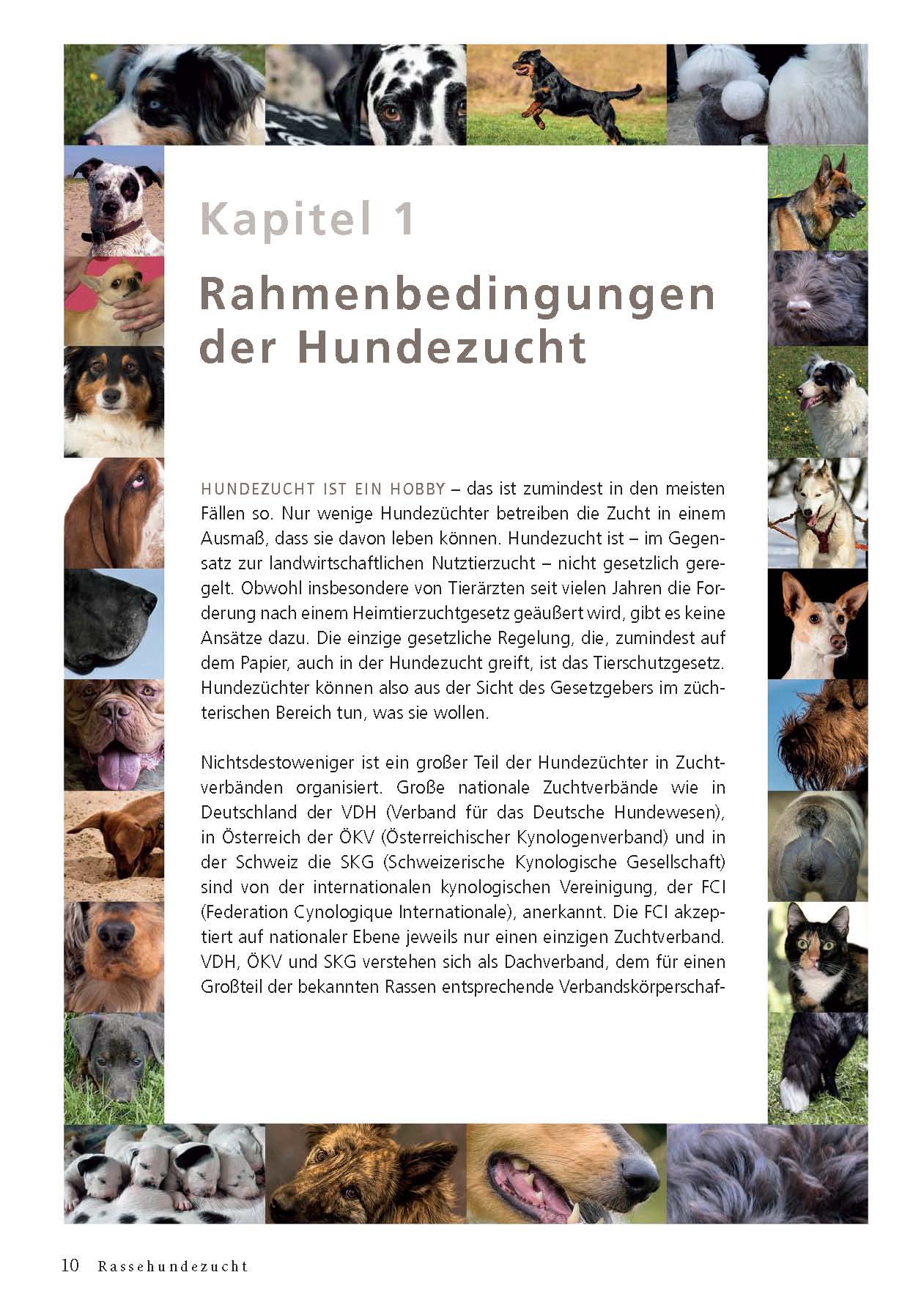 9783275023110_innenansicht_08.jpg