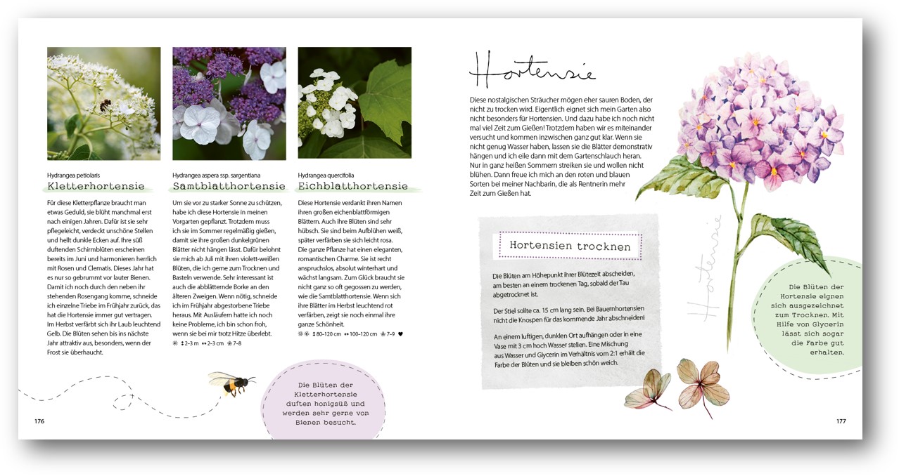 9783957349873_innenansicht_02 9783957349873_innenansicht_02.jpg