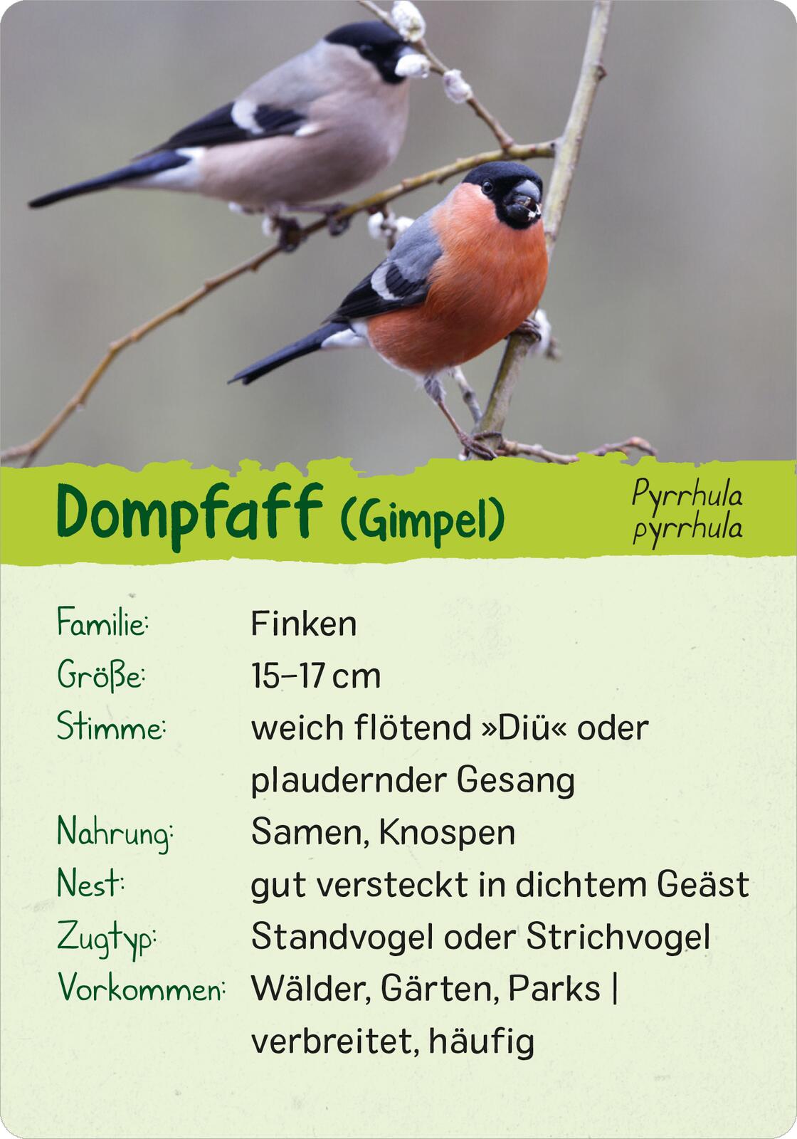 9783845856599_innenansicht_03 9783845856599_innenansicht_03.jpg