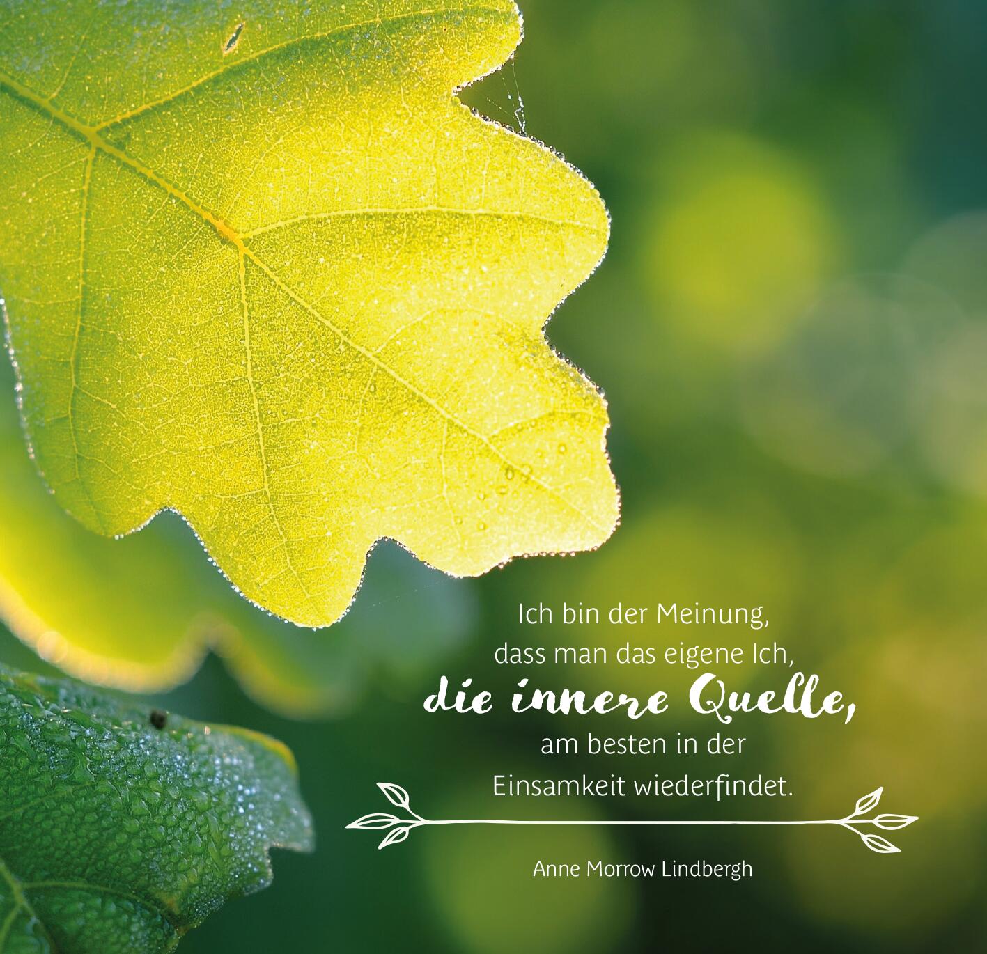9783845849638_innenansicht_05.jpg