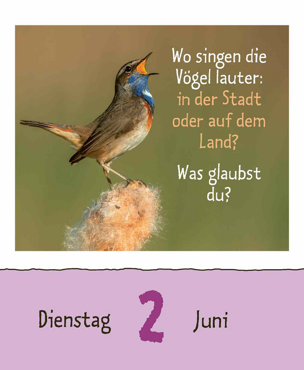 9783731889199_innenansicht_09.jpg