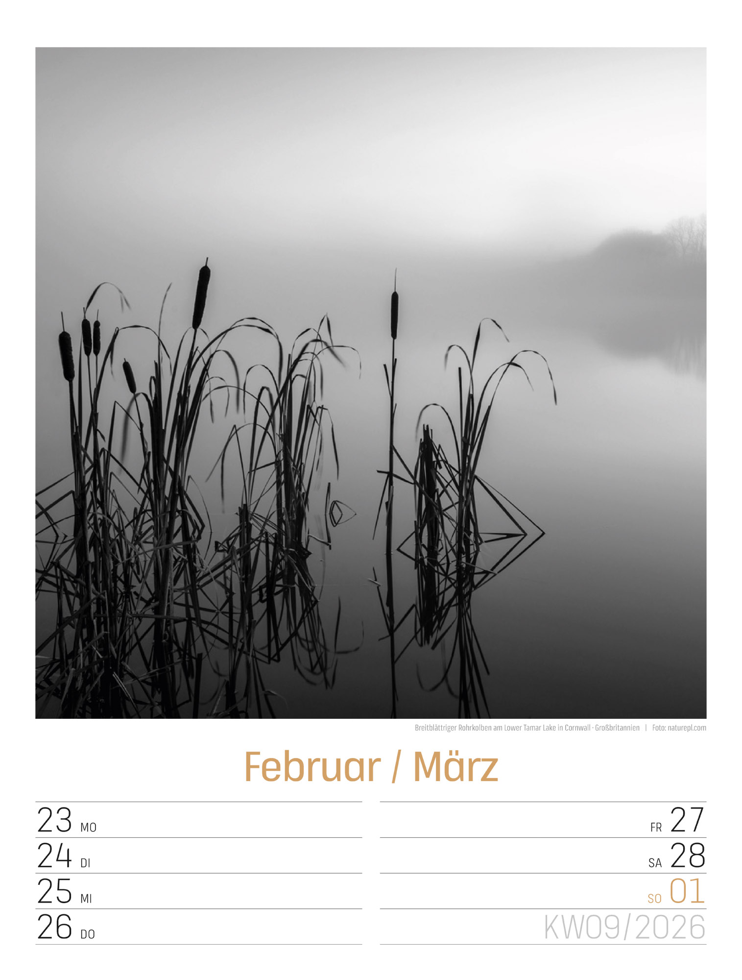 9783838436265_innenansicht_12 9783838436265_innenansicht_12.jpg