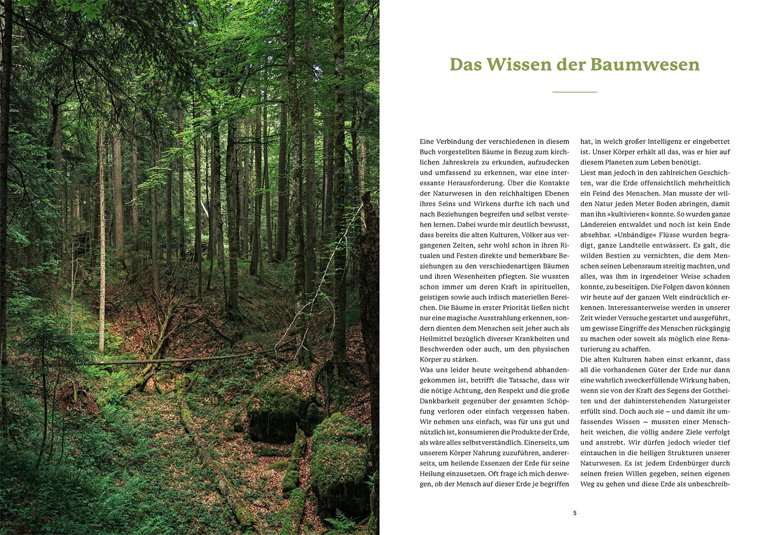 9783968600871_innenansicht_01 9783968600871_innenansicht_01.jpg