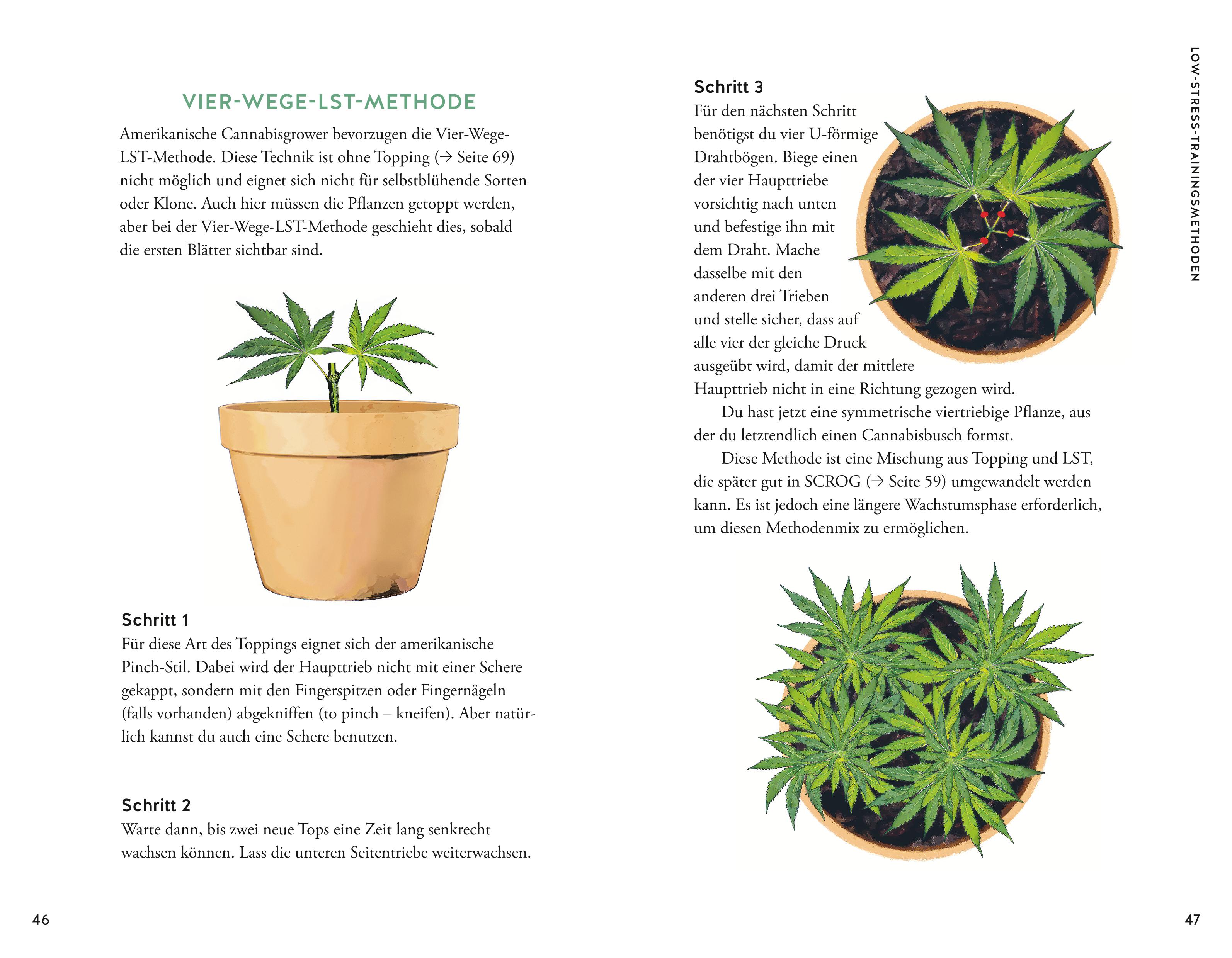 9783833896828_innenansicht_03 9783833896828_innenansicht_03.jpg