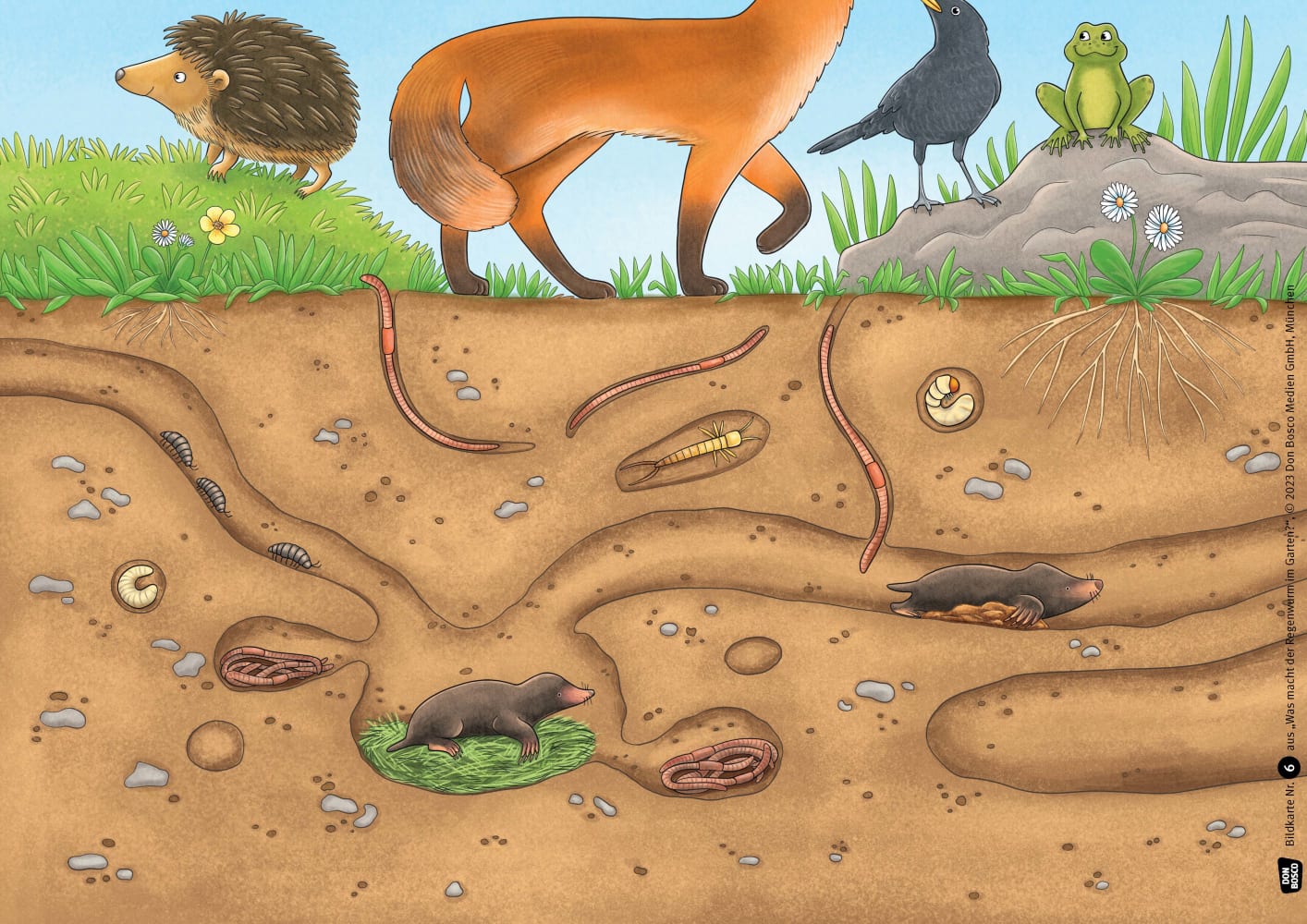 4260694921265_innenansicht_02 4260694921265_innenansicht_02.jpg