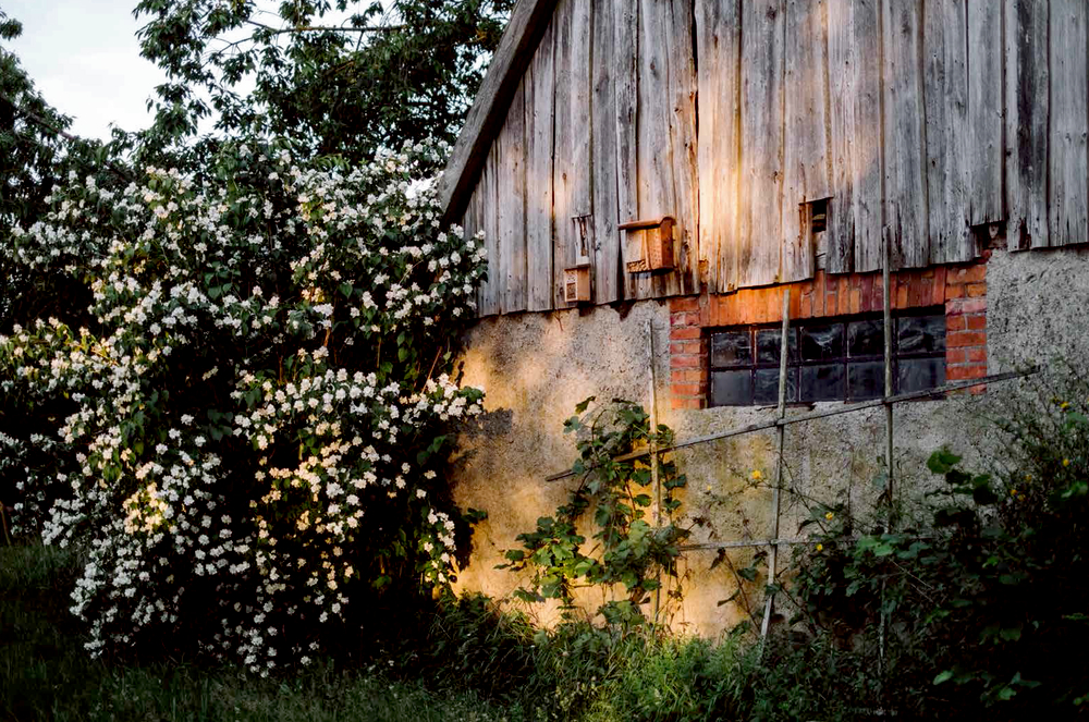 9783881171908_innenansicht_04 9783881171908_innenansicht_04.jpg