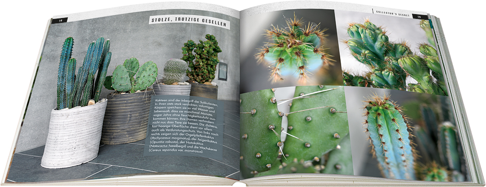 9783945429358_innenansicht_02 9783945429358_innenansicht_02.jpg