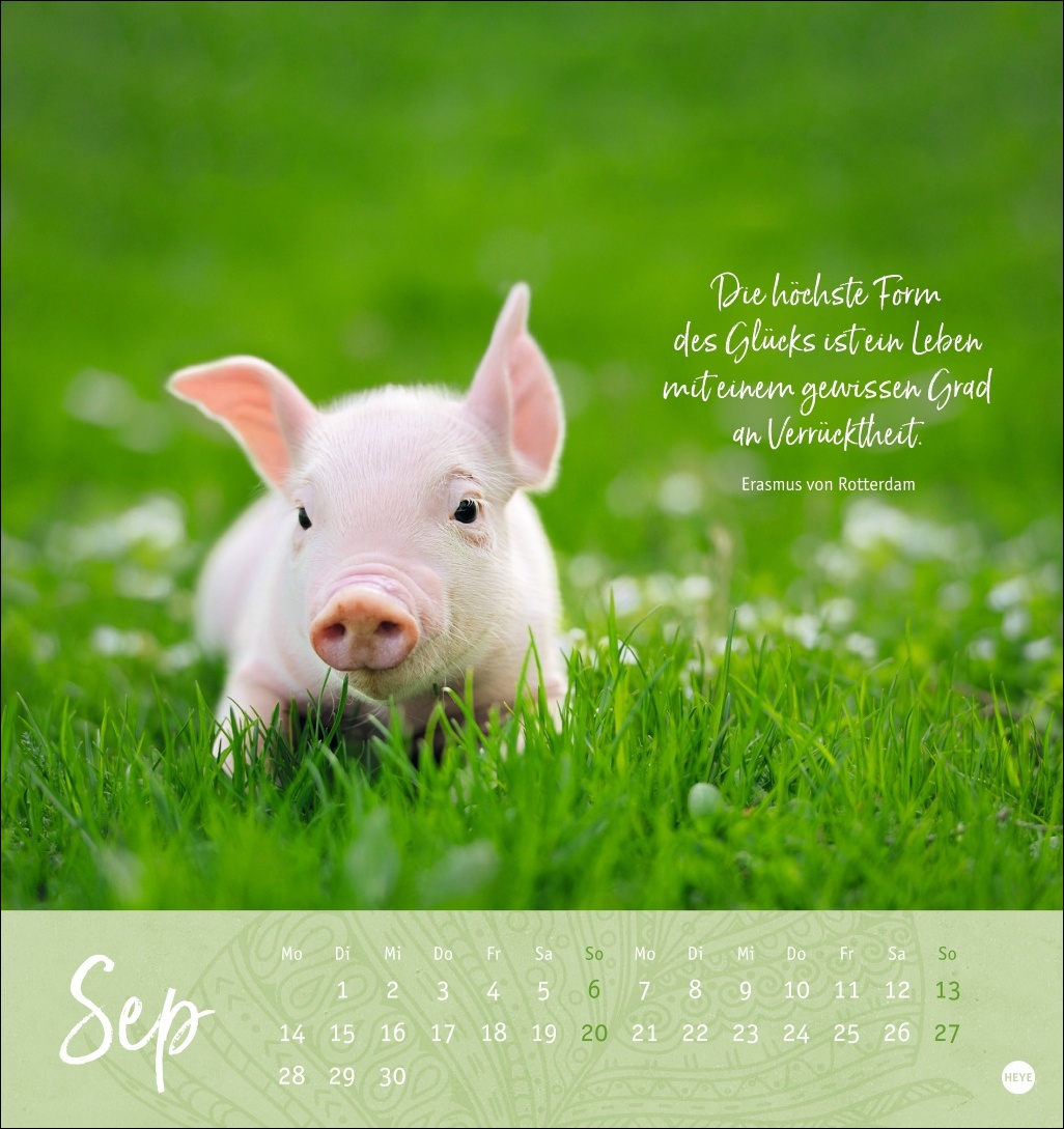 9783756410101_innenansicht_09 9783756410101_innenansicht_09.jpg