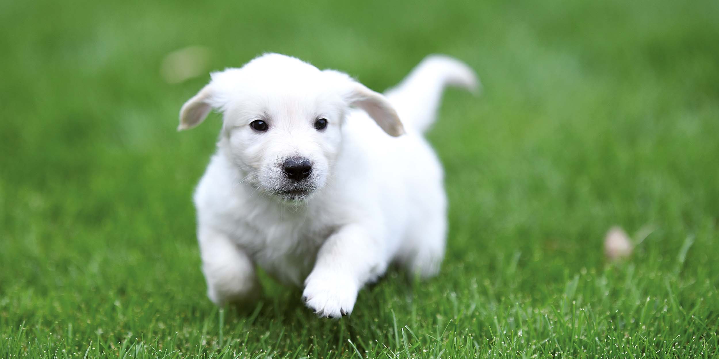 9783959295888_innenansicht_13 9783959295888_innenansicht_13.jpg