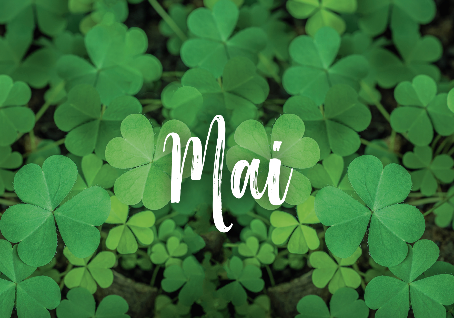 9783629009852_innenansicht_04 9783629009852_innenansicht_04.jpg