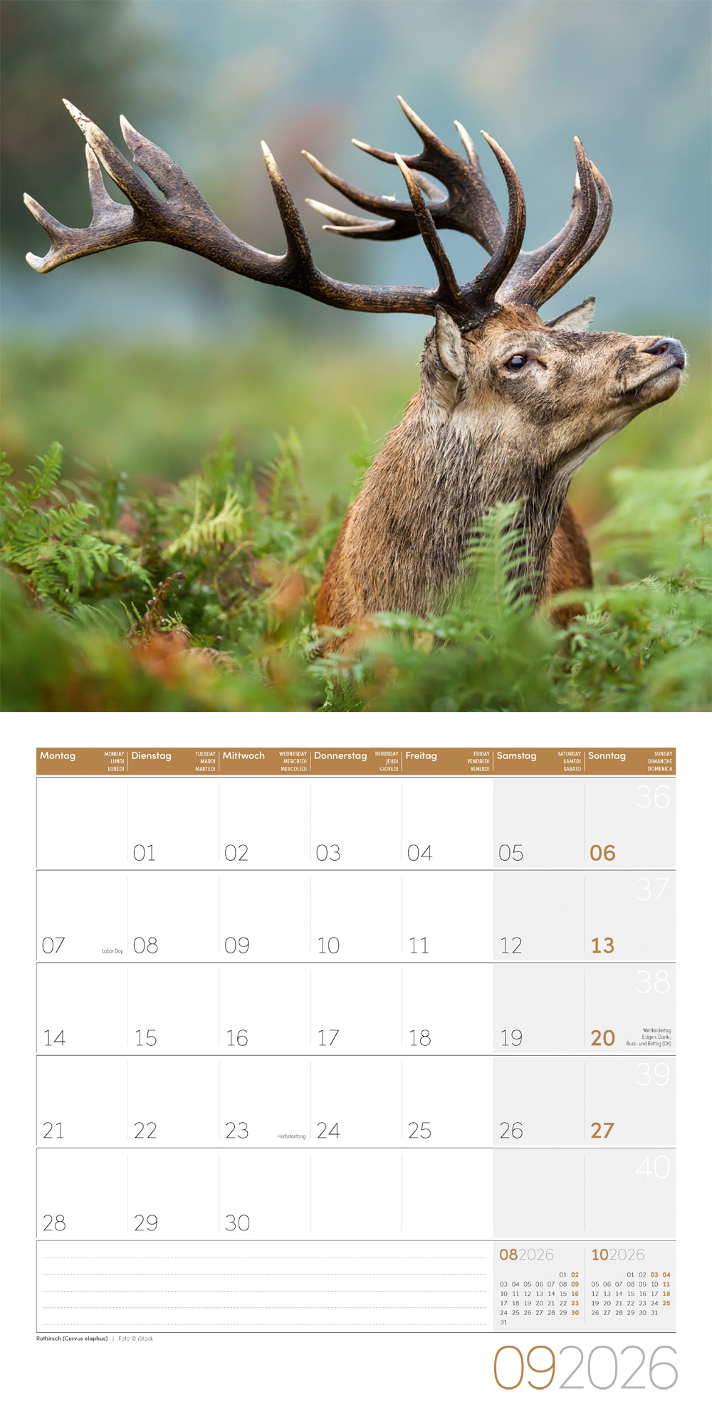 9783838446264_innenansicht_09 9783838446264_innenansicht_09.jpg