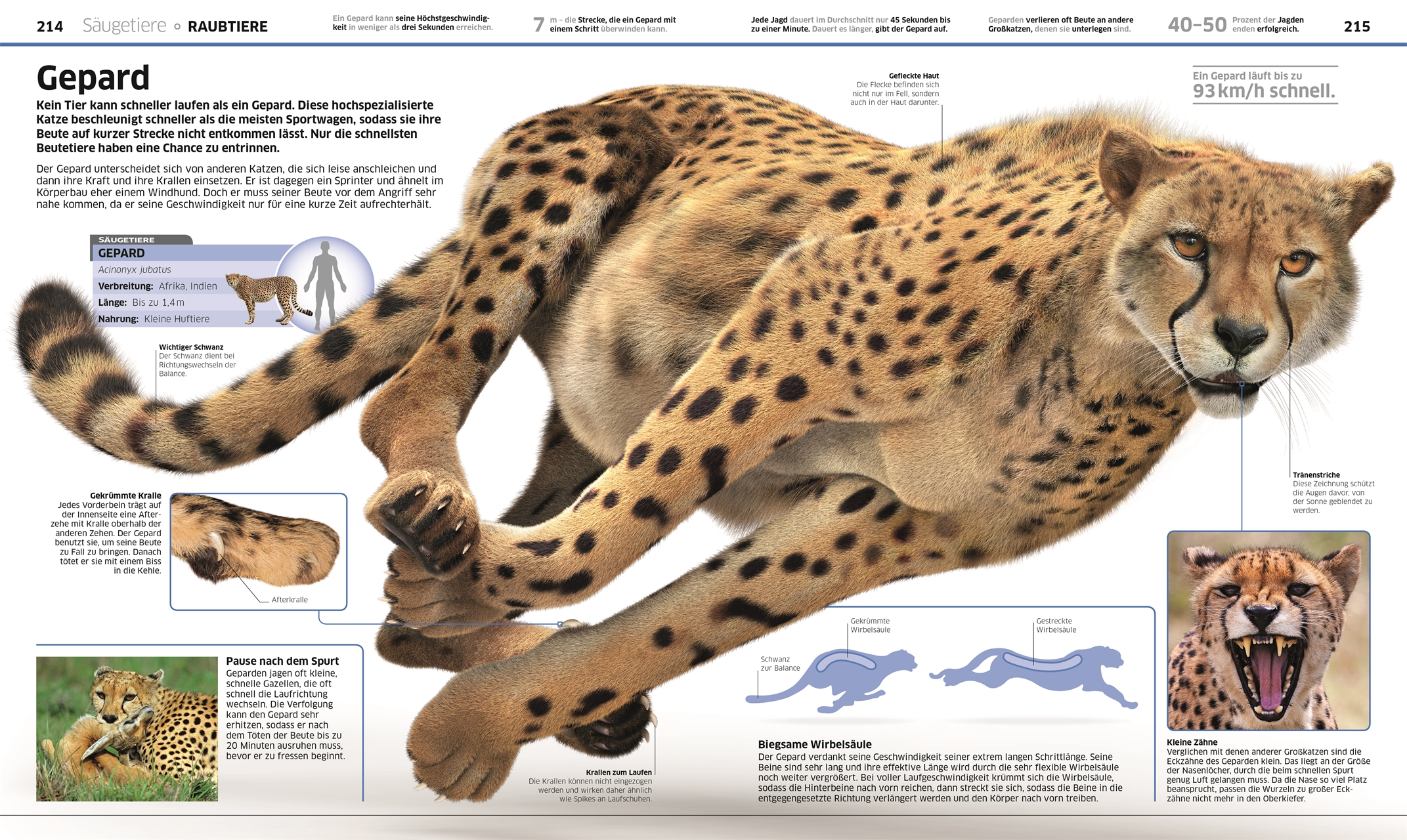 9783831033409_innenansicht_07 9783831033409_innenansicht_07.jpg