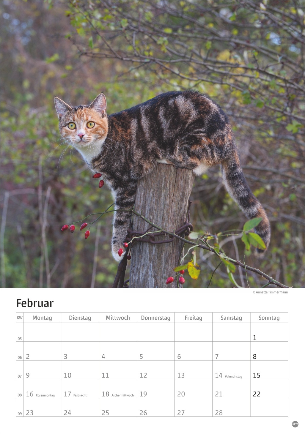 9783756411139_innenansicht_02 9783756411139_innenansicht_02.jpg