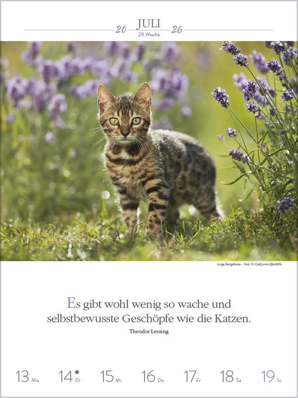 9783731884354_innenansicht_06.jpg