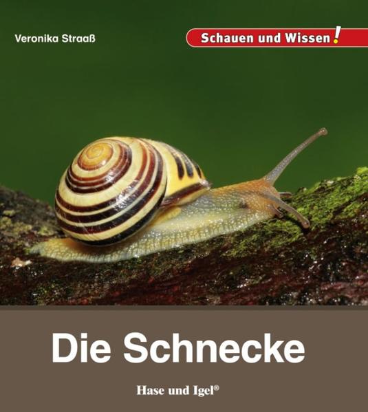 9783867607681.jpg