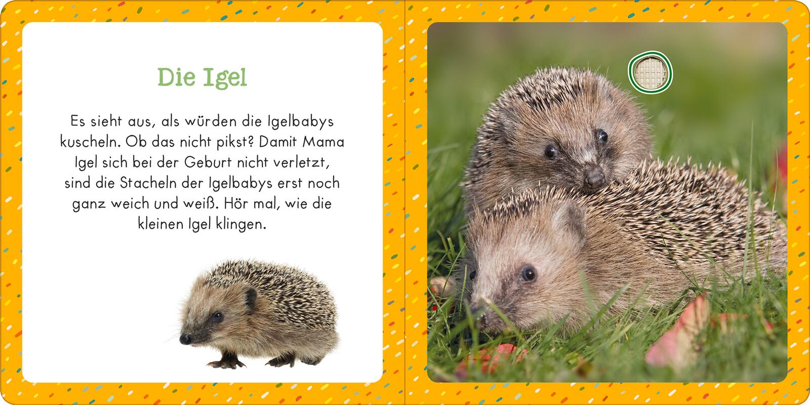 9783845855363_innenansicht_01.jpg