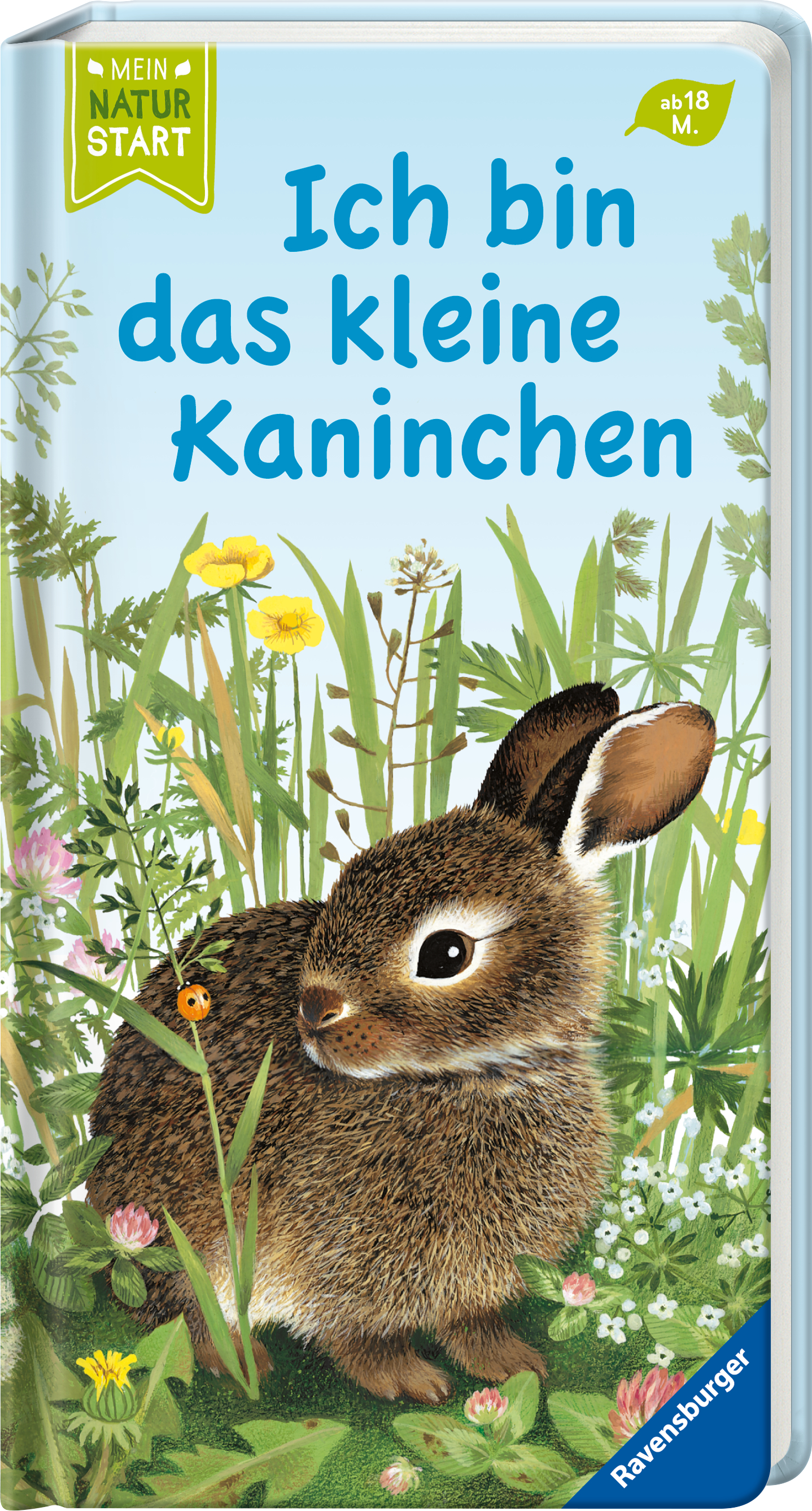 9783473439812_innenansicht_01.jpg