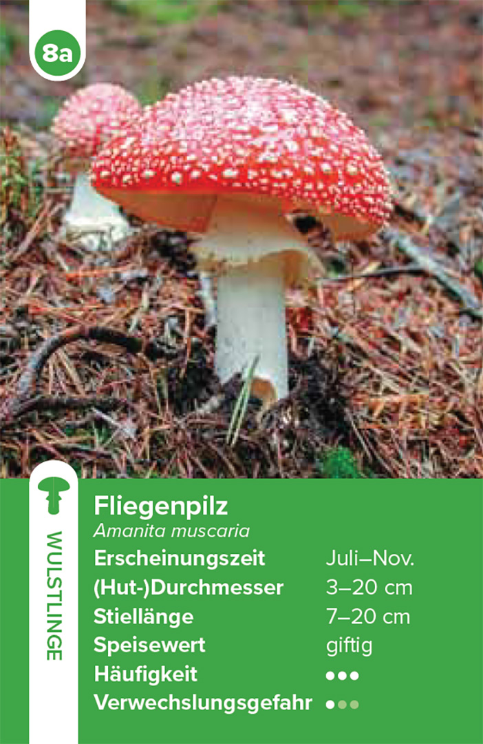 9783258800042_innenansicht_08.jpg