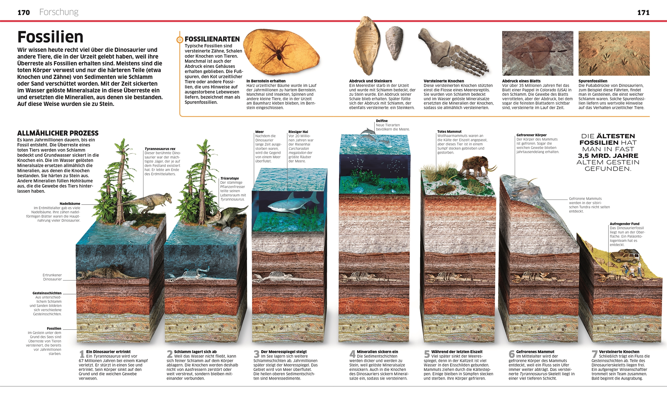 9783831040063_innenansicht_04 9783831040063_innenansicht_04.jpg