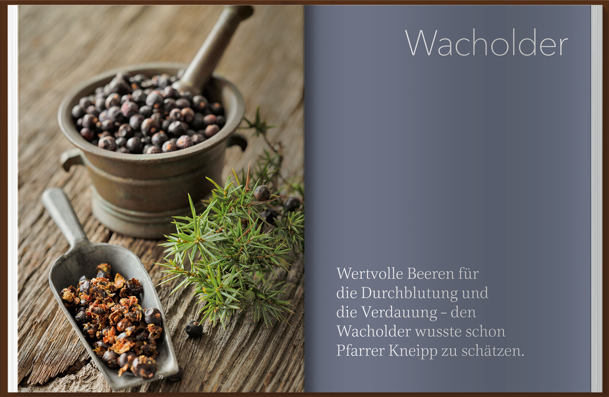 9783784357867_innenansicht_03 9783784357867_innenansicht_03.jpg