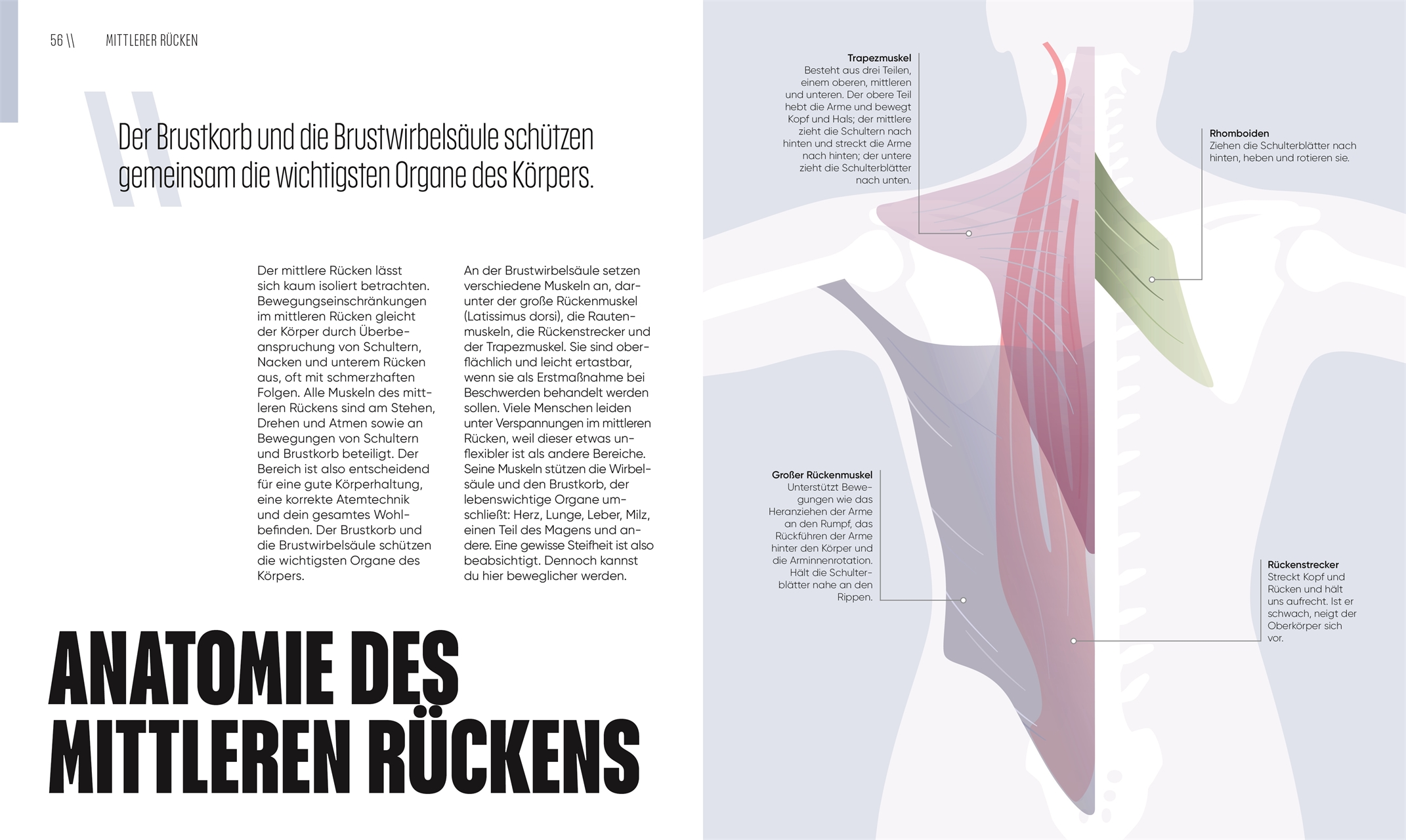 9783831051014_innenansicht_05.jpg