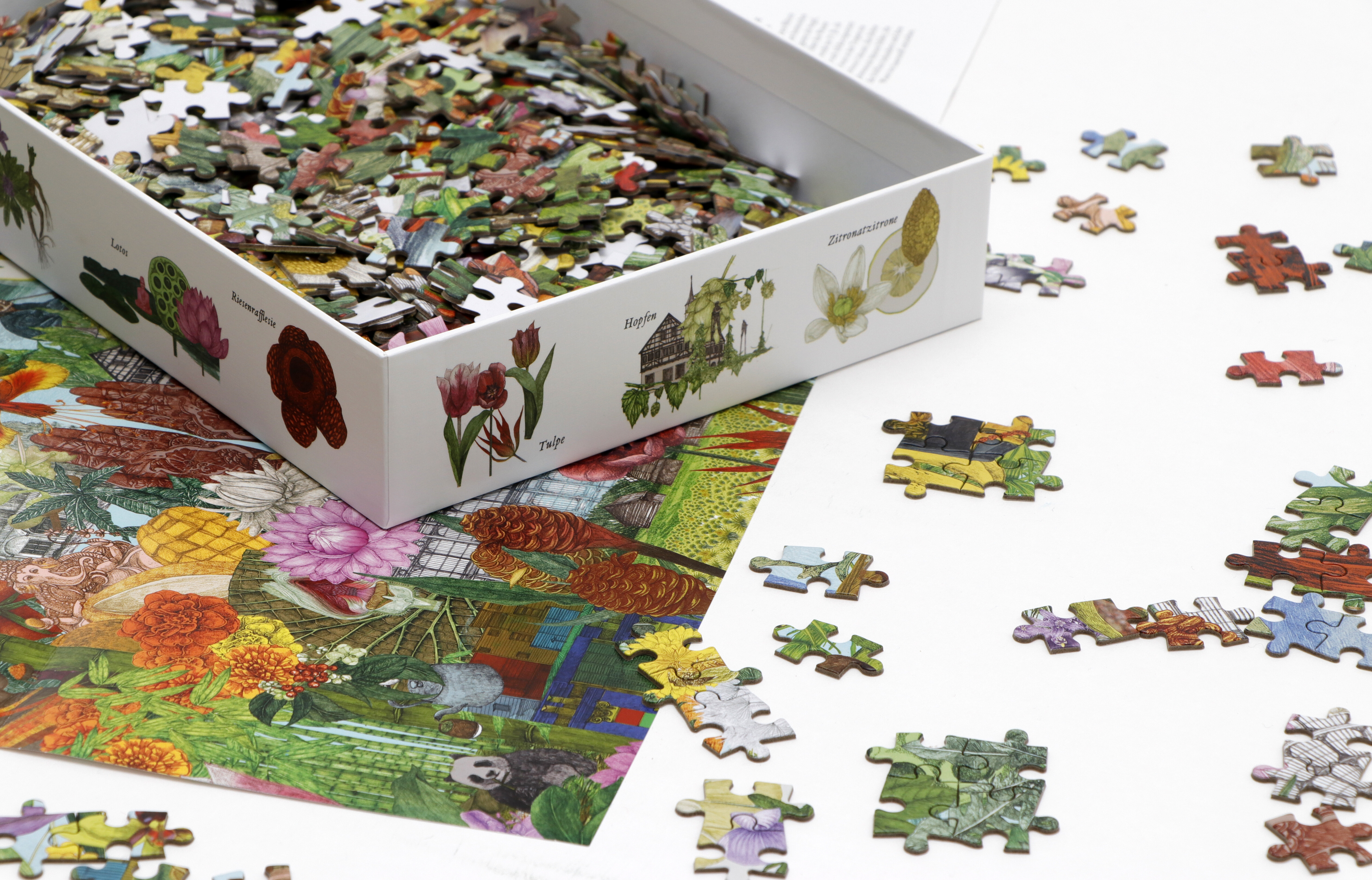 9783962443252_produktbild_04 9783962443252_produktbild_04.jpg